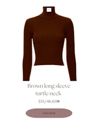 brown long sleeve turtle neck